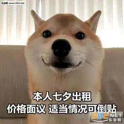  七夕单身狗柴犬图片七夕单身狗表情包柴犬下载乐游网游戏下载