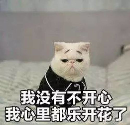  对不起,中年人不过双十一