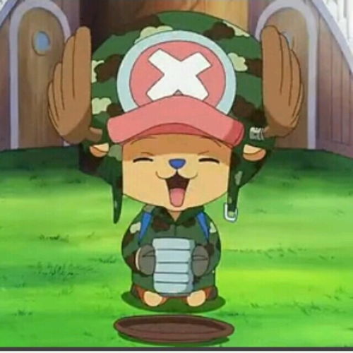  海贼王乔巴