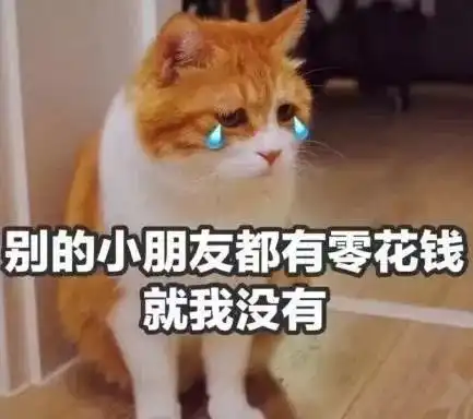  江浙沪包邮的冷空气已发货,最低6附赠雨雨雨....