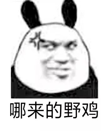  熊猫头表情包你怎么聊着聊着就不见了