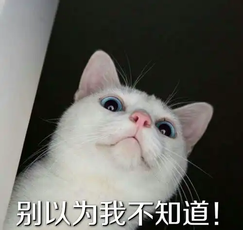 kino猫表情包佛系