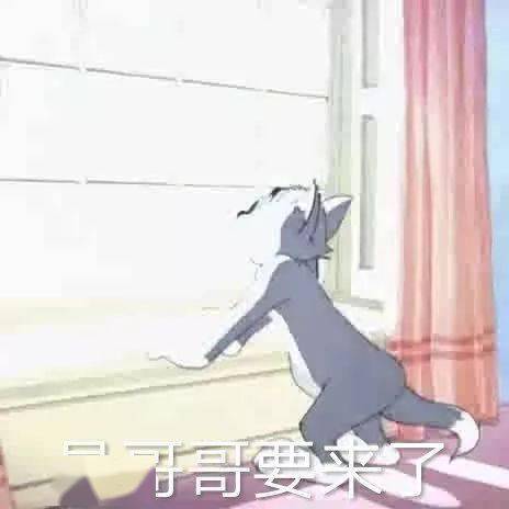  猫和老鼠表情包哥哥我来了