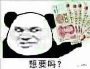  宠物美容师想要变得更优秀,这一点也很关键
