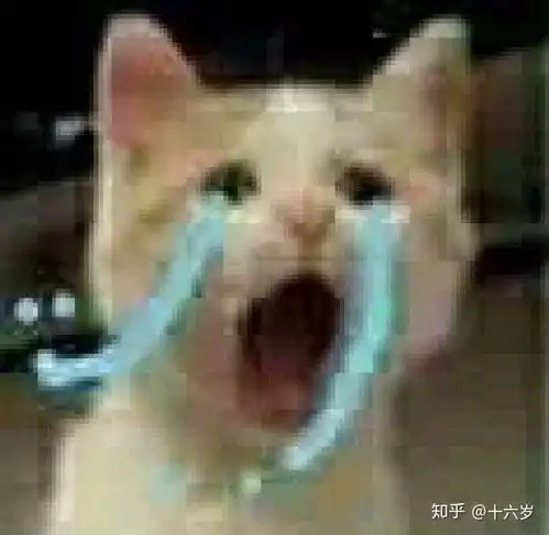  你有什么表情包看一次笑一次,欲罢不能的嘛