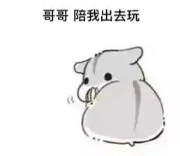  可爱仓鼠兄妹表情包