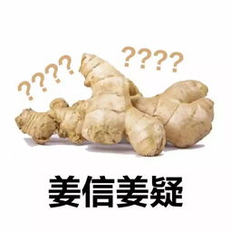  汽车都加动力水代替汽油了