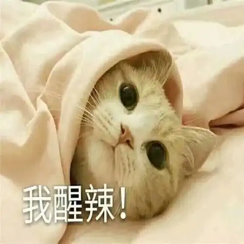  可爱表情包想人间婆娑全无着落看万般红紫过眼成灰