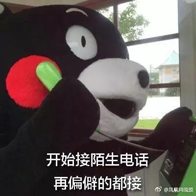  投票双11深圳这个区狠人最多,2000亿的大项目,说剁手就剁手