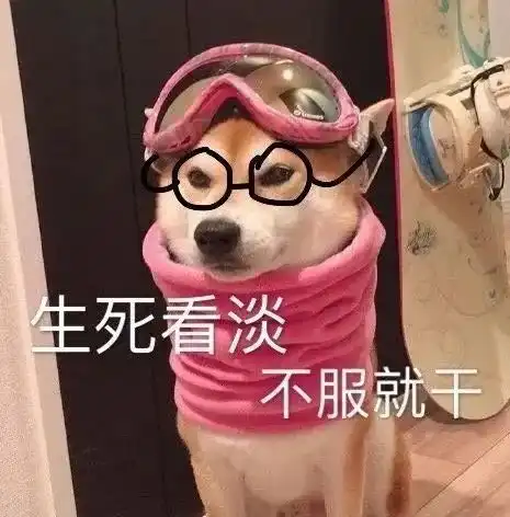  斗图精选表情包大声点,我近视