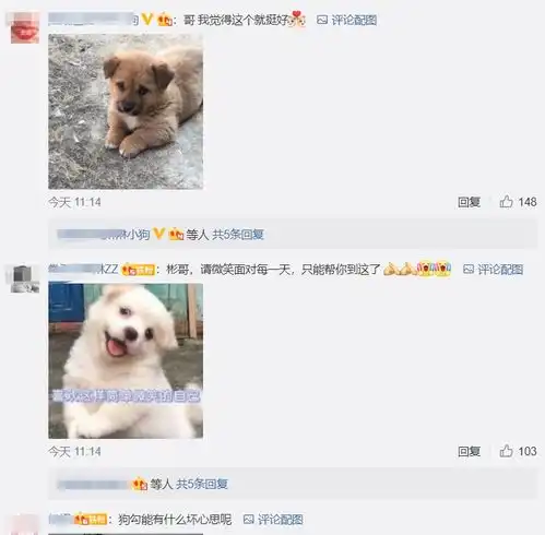  张彬彬被工作人员调侃,本尊难忍发文吐槽,不想粉丝才是罪魁祸首