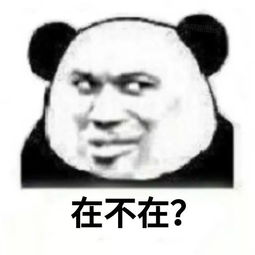  熊猫头聊天表情包在吗回消息
