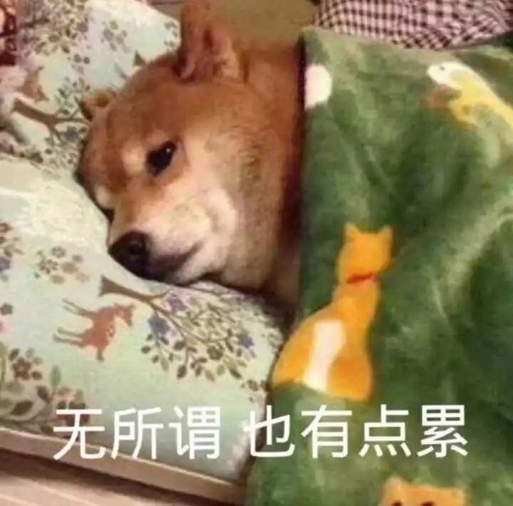  语文可以乱写,历史可以乱编,英语可以乱凑,数学不会,你真的只能