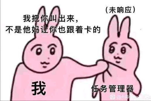 哔哩哔哩专栏