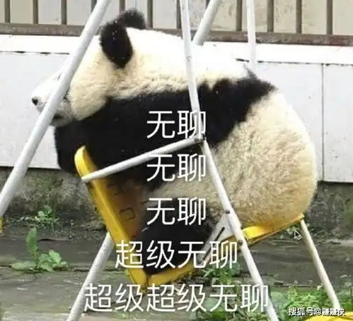 表情包看你往哪跑