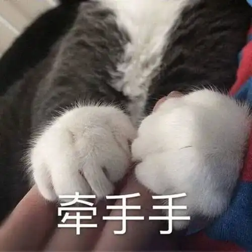 热门撩妹表情包每十秒想你一次,一天想你8640次  热门撩妹表情包每十秒想你一次,一天想你8640次