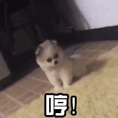  搞笑gif段子开心一笑,怎么还不点在看呢