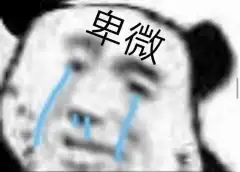  我的表情包