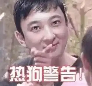 星际战甲2035表情包皱眉