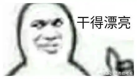  表情猫猫表情包