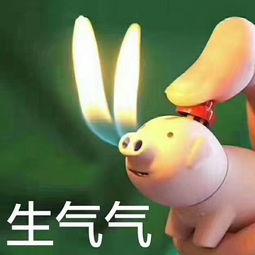  表情精选10.10