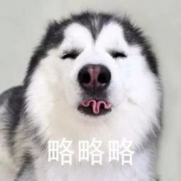  老公略略略