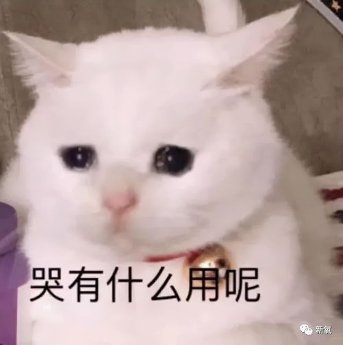  张路