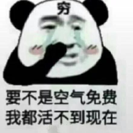 老实人表情包熊猫郑州地