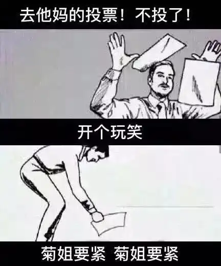  小编必备菊姐表情包附则菊姐同款应援头像