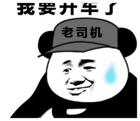  五菱必看资讯都在这,你错过了吗