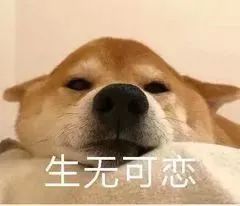  15种节前综合症来袭,99的砀山人已在过年前倒下