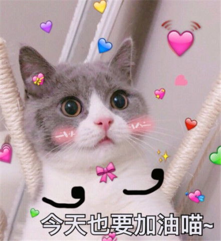  小奶猫自闭了表情包反抗是不敢反抗的,就偷偷略略略这样子