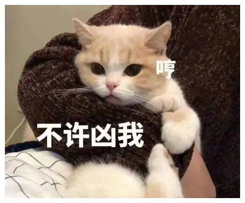  沙雕废话文学合集