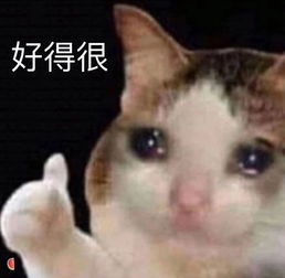  网购了一双蹦迪专用超炫彩虹鞋,收到后画风不忍直视..