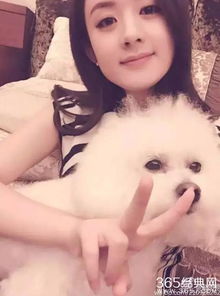  刘亦菲范爷赵丽颖杨幂郑爽宅子都很豪,品位又如何
