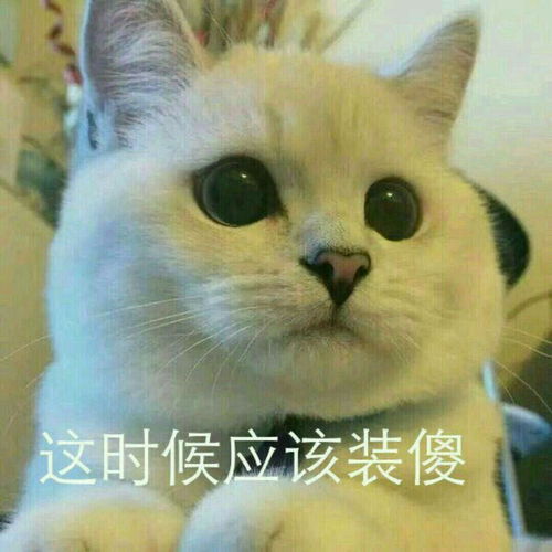  来月经时候的尴尬好笑的,难堪的,让你有一瞬间想直接消失