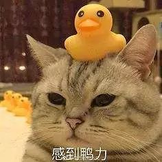  如果孩子期末成绩不好,当爹的也没有好下场共同体