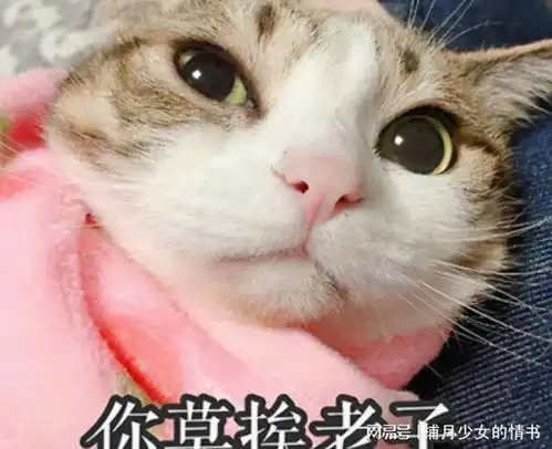  大学生怀孕现象增多,背后的原因,不止是个人需要那么简单