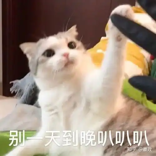  药监局新规化妆品不可宣称抗炎