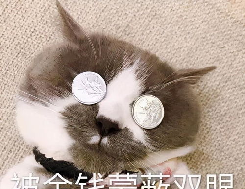  治疗牙疼的方法那么多,为什么牙疼还不好可能你没掌握这一点