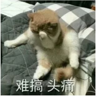  点趣乐考网现阶段经济法基础完全抓不住重点,有什么办法记忆