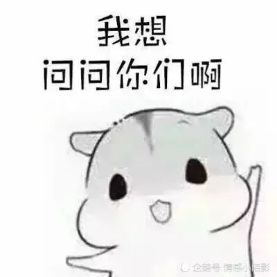 表情包压缩仓鼠