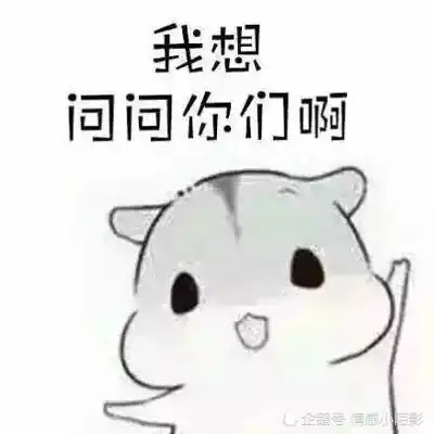  仓鼠表情包我想问问你们啊