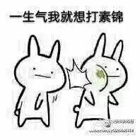  每周一波一部用热搜刷完的剧到底有多少表情包