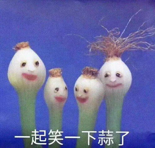 脆皮鸡图片表情包华阳景
