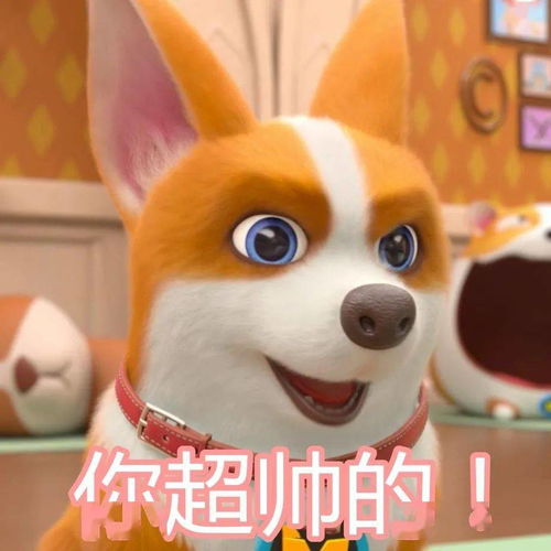  所以表情包是会消失的对不对