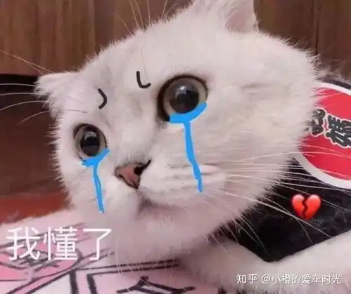  干货出险达到多少金额才值得报保险