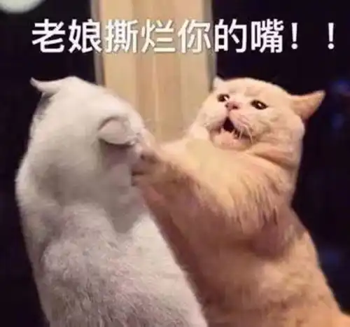 委屈必备二  委屈必备二