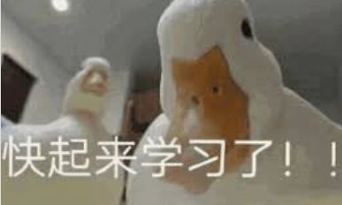  python输入倒三角形剑指offer系列python实现日更十七