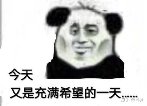  小表情呀熊猫头熊猫头